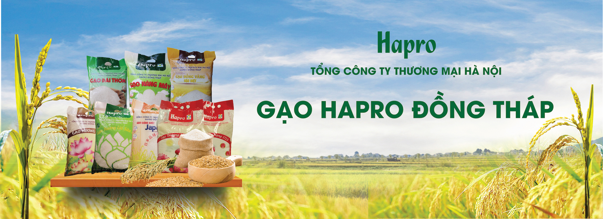 Gạo Hapro Đồng Tháp – nâng tầm hạt ngọc Việt